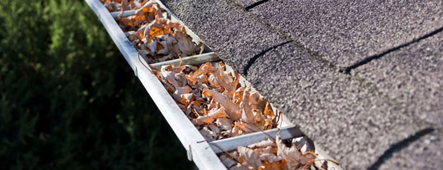 Clogged Gutters