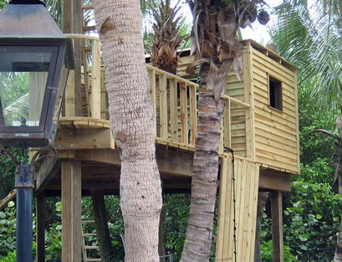 Beachfront Treehouse